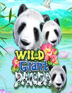 โจ ก เกอร์ เกมไพ่ แค ง ดั ม มี่ ได้ เงิน จริง ไหม?